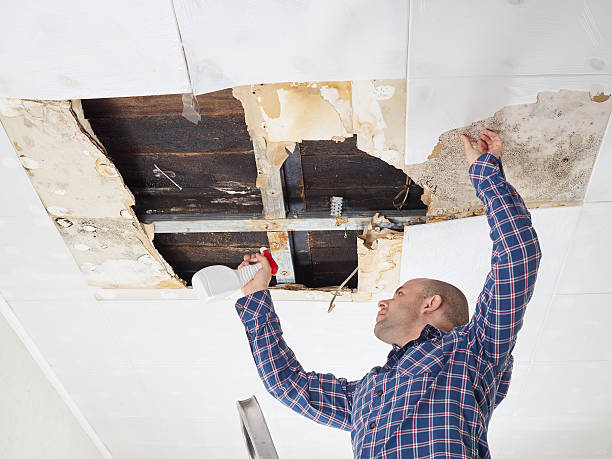 Best Mold Damage Restoration  in Glen Head, NY